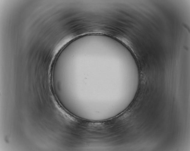 X0000103941135200809191141