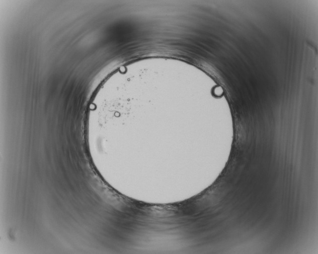 X0000103941138200809191141