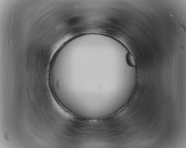 X0000103941139200809191141