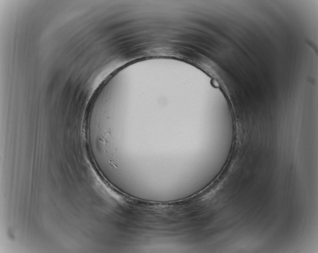 X0000103941141200809191141