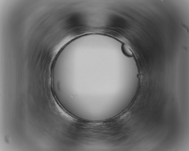X0000103941143200809191141
