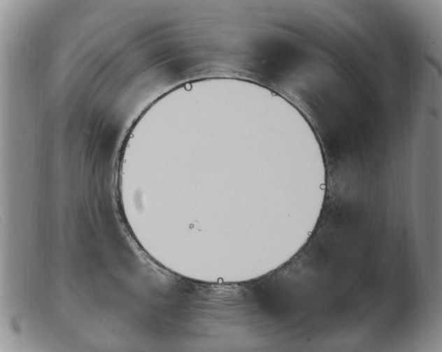 X0000103941144200809191141