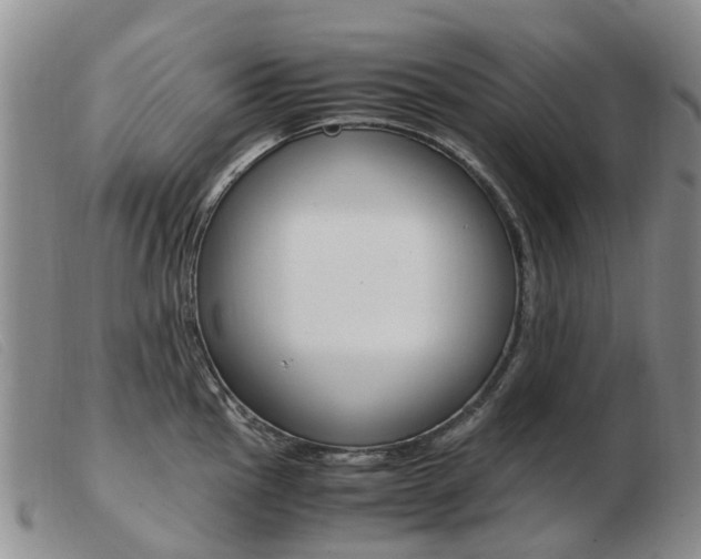 X0000103941145200809191141
