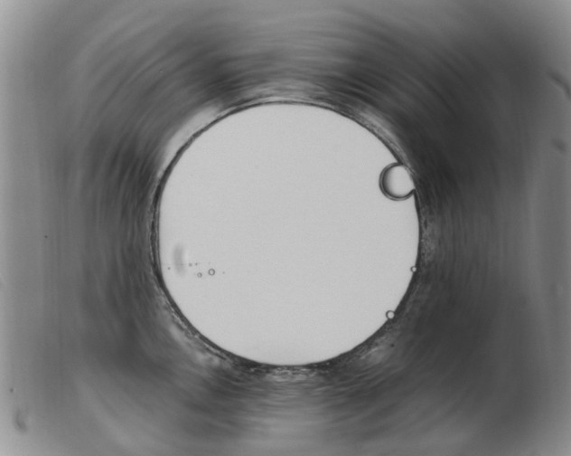 X0000103941146200809191141