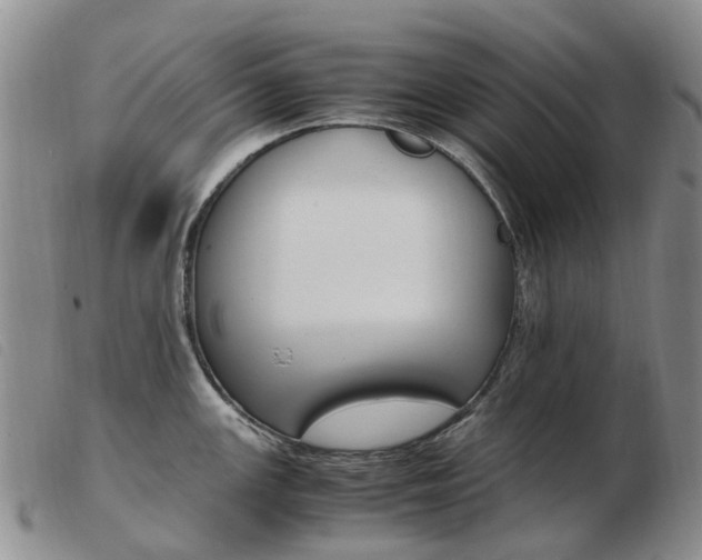 X0000103941147200809191141