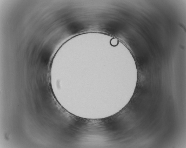 X0000103941148200809191141