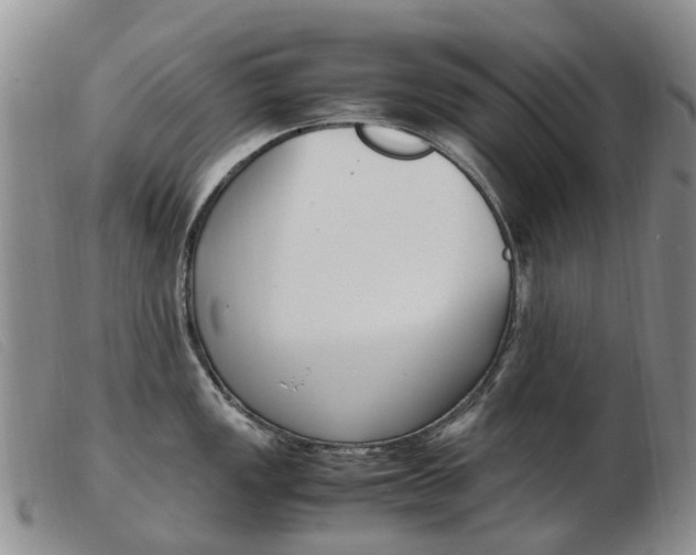 X0000103941149200809191142