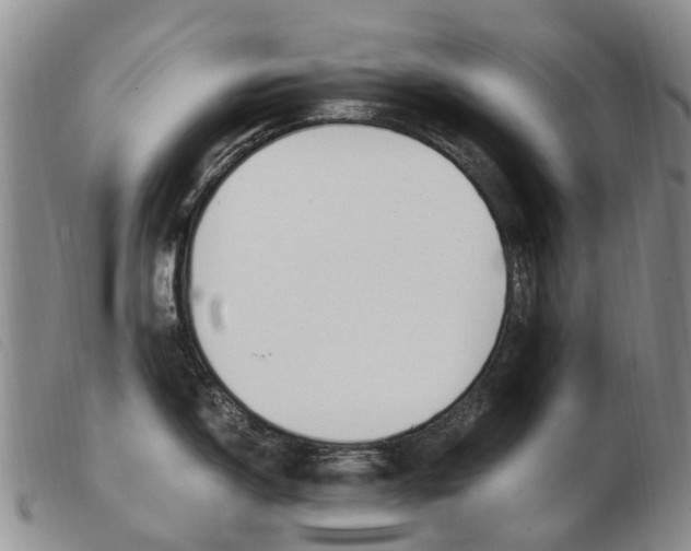 X0000103941150200809191142