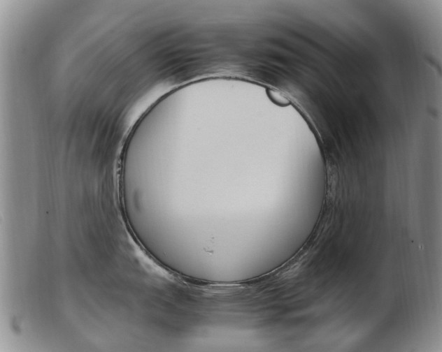 X0000103941151200809191142