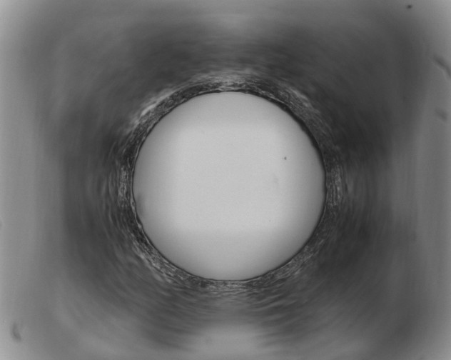 X0000103941158200809191141