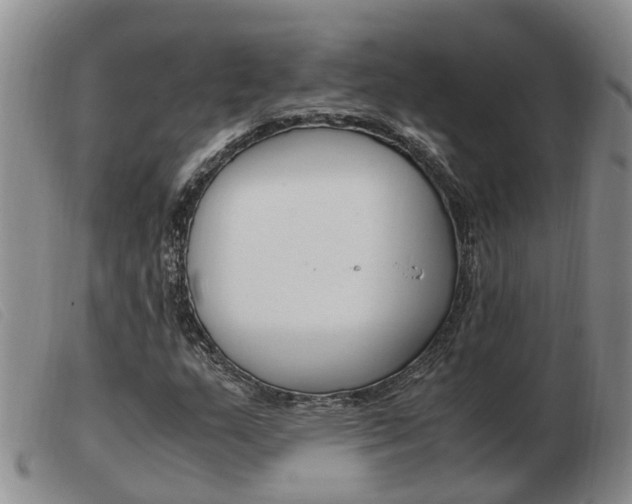 X0000103941159200809191141