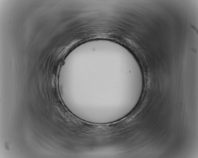 X0000103941161200809191141