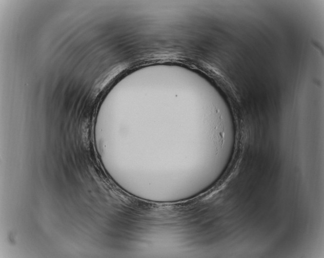 X0000103941162200809191141