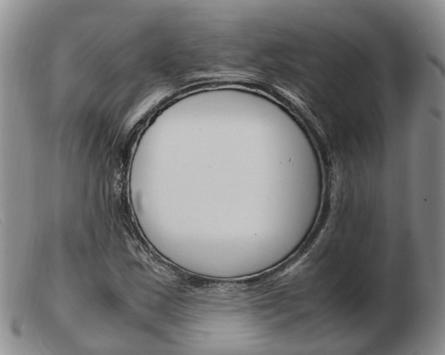 X0000103941163200809191141