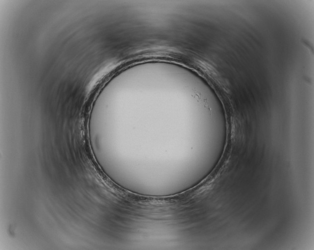 X0000103941164200809191141