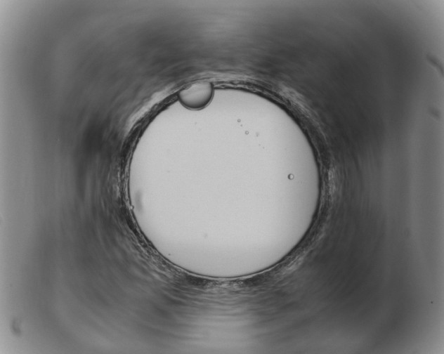 X0000103941165200809191141