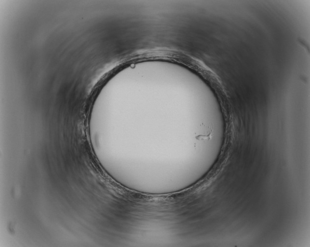 X0000103941166200809191141