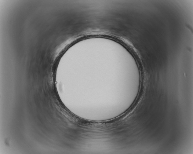 X0000103941167200809191141
