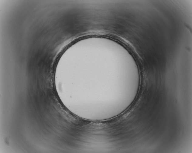 X0000103941168200809191141