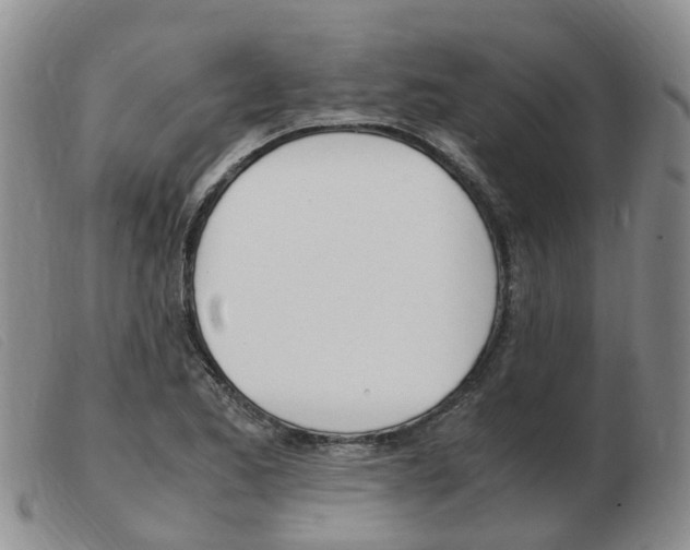 X0000103941173200809191141