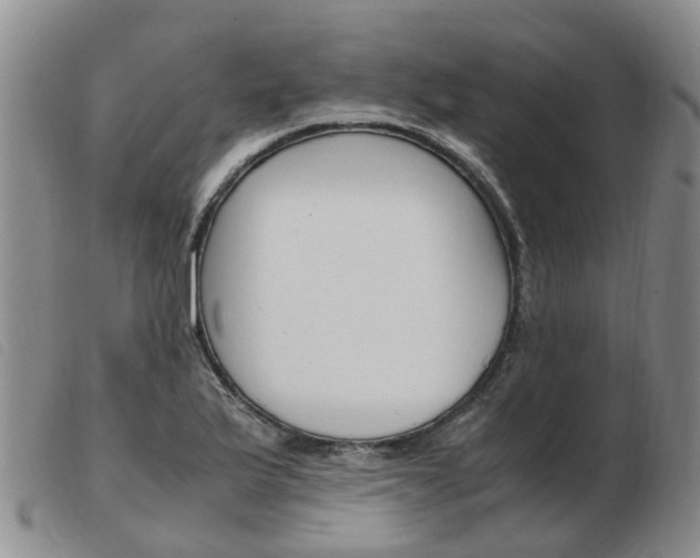 X0000103941175200809191141