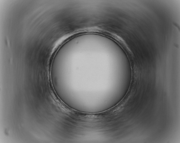 X0000103941176200809191141