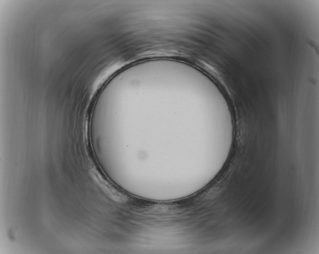 X0000103941179200809191141