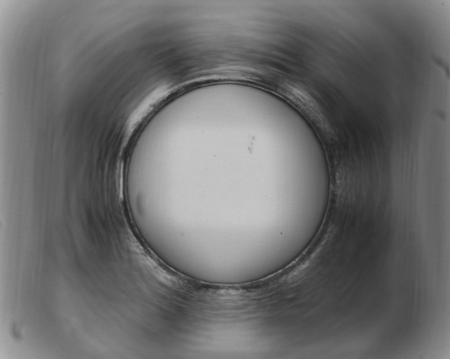 X0000103941180200809191141