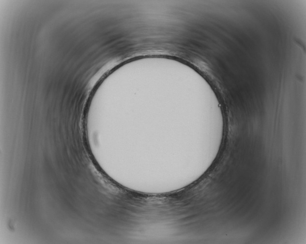 X0000103941181200809191140