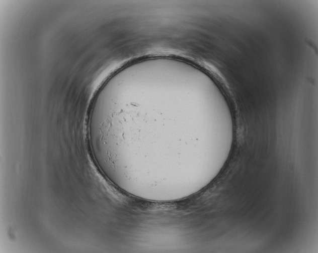 X0000103941183200809191140