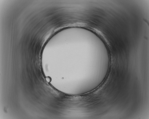 X0000103941184200809191140