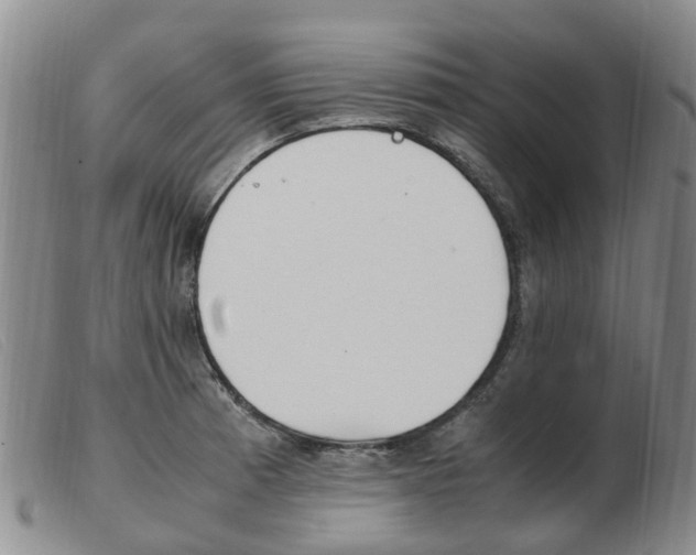 X0000103941185200809191140