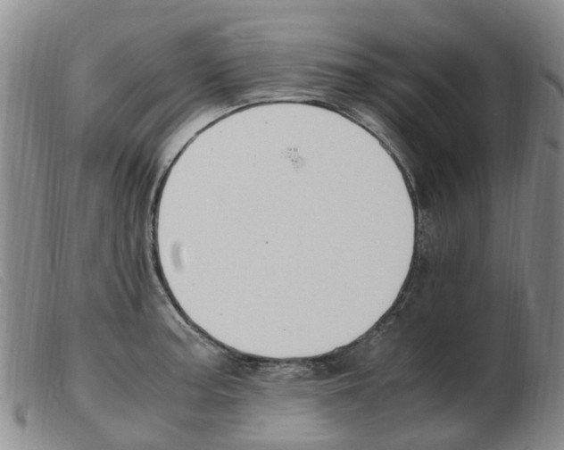 X0000103941187200809191140