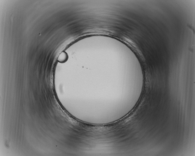 X0000103941188200809191140