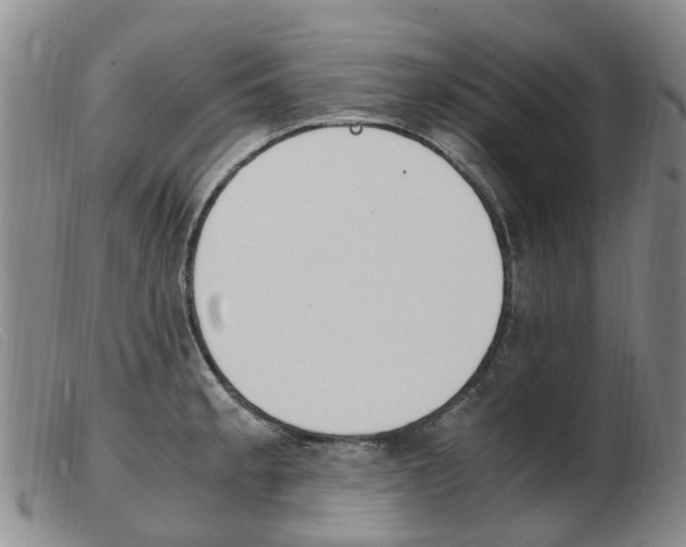 X0000103941189200809191140