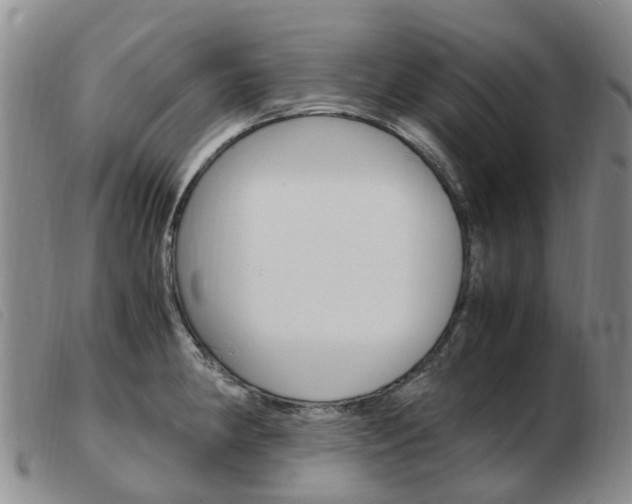X0000103941190200809191140