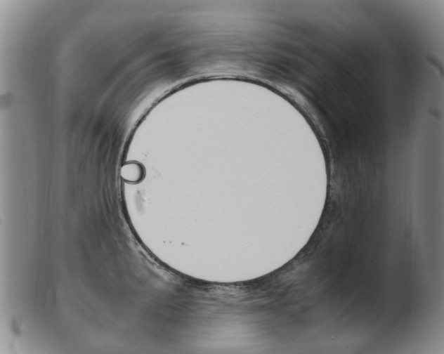 X0000103941191200809191140