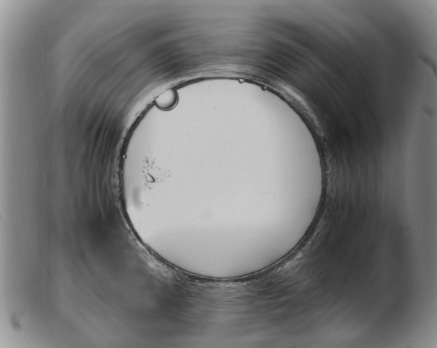 X0000103941192200809191140