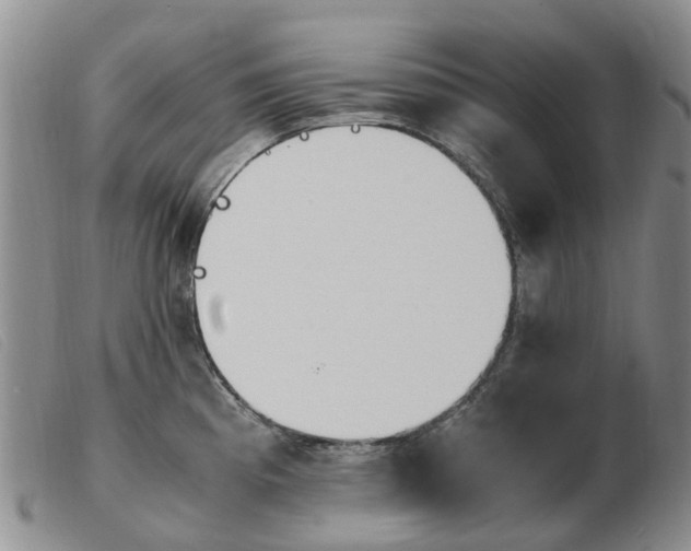 X0000103941193200809191140