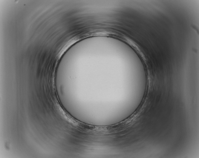 X0000103941194200809191140