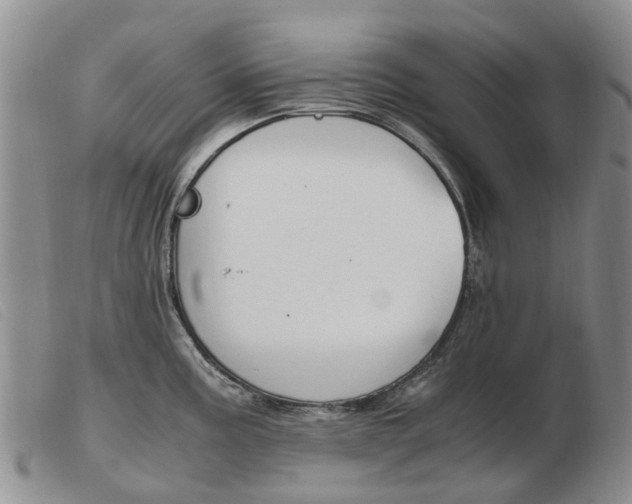 X0000103941195200809191140