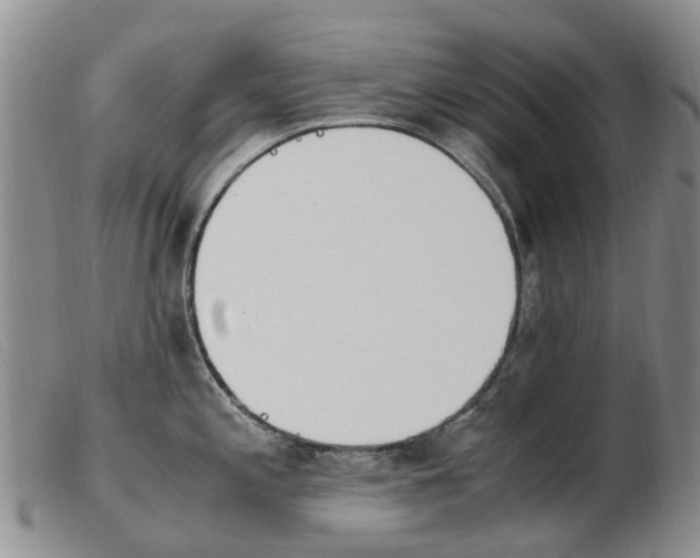 X0000103941197200809191140
