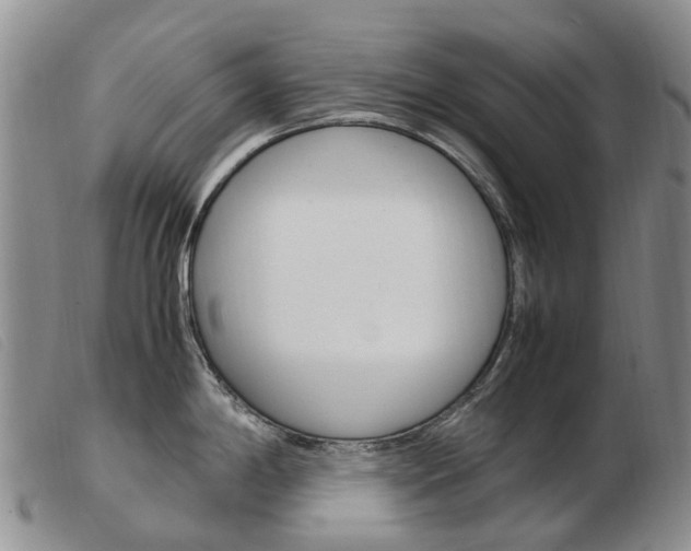 X0000103941198200809191140