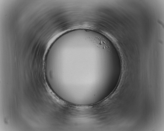 X0000103941200200809191140