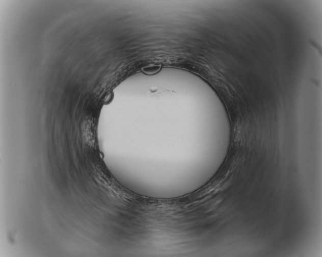 X0000103941202200809191139
