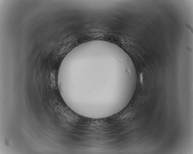 X0000103941203200809191139