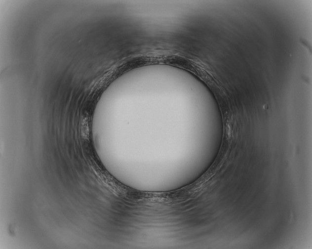 X0000103941204200809191139