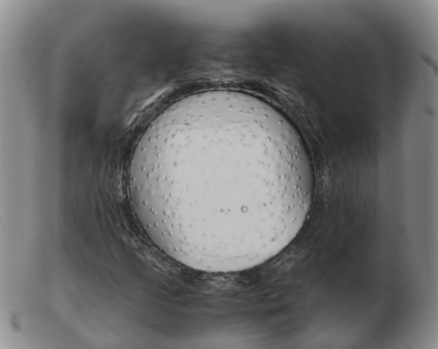 X0000103941205200809191139