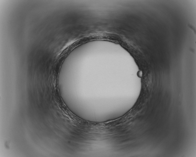 X0000103941206200809191139