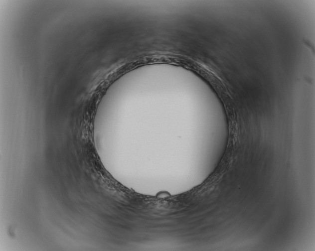 X0000103941207200809191139